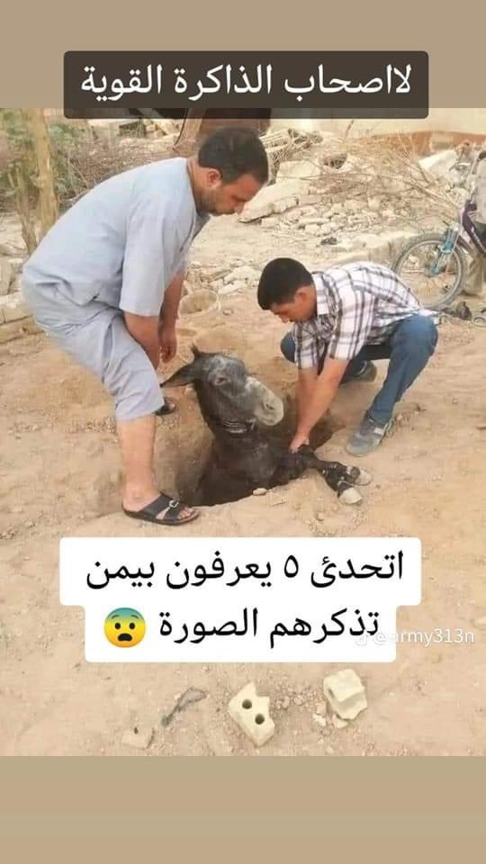 FaSa23675183's tweet photo. @bassem_kadhem68 لا اعرف هذا الحقد على الشيعة
لا اعرف الى اي ملة تنتمون..
لا اعرف الا شي واحد ..
ثبت لي..
أنتم جهلة ومنافقين..
جهلة لا تفرقون بين النا��ة والجمل
ومنافقون..تميلون مع من دفع لكم
بالنهاية قاعد بالخارج وتغرد خارج السرب.. https://t.co/FLYe0GKLH9