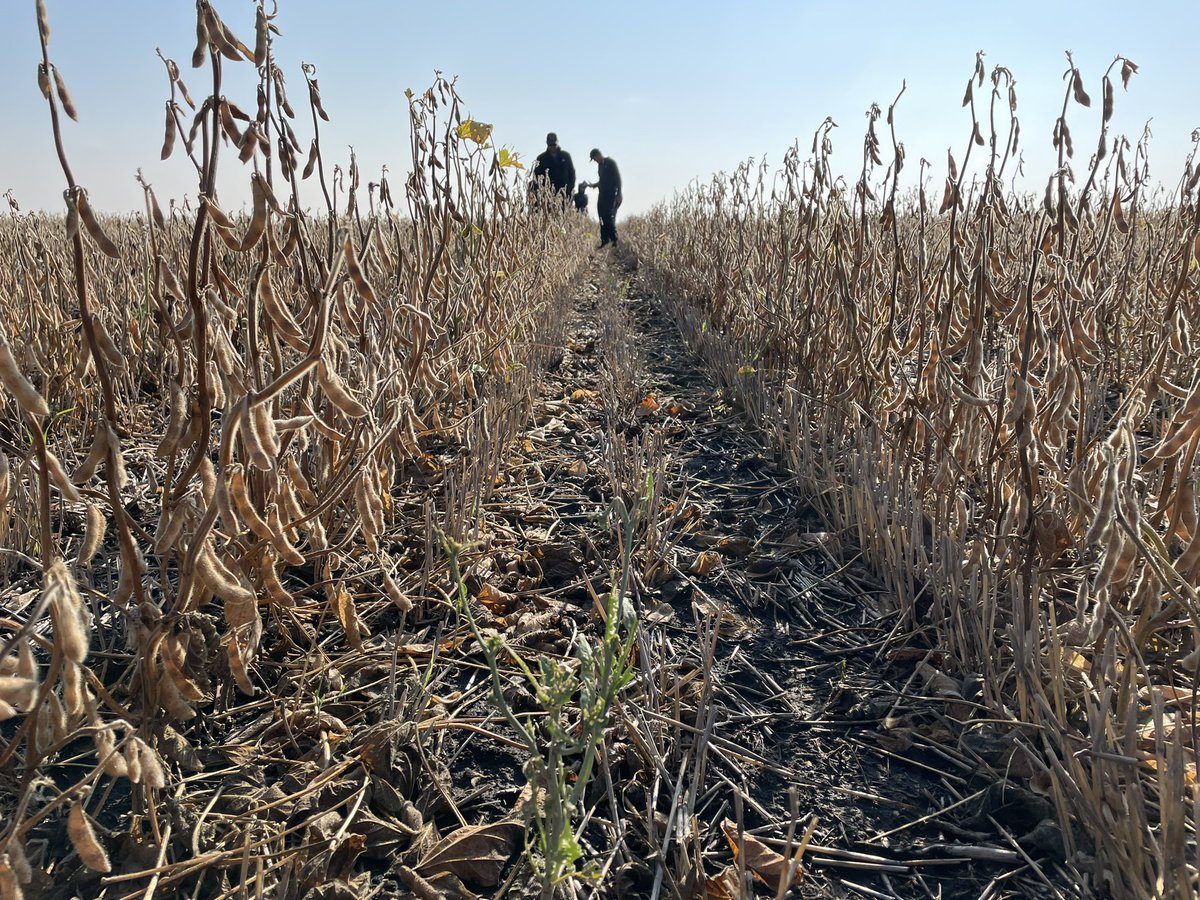 Mark Kuchuran tweet media