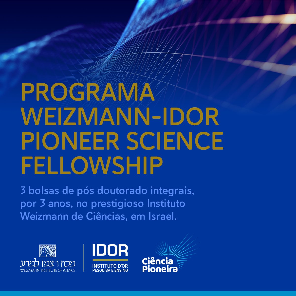 cienciapioneira's tweet photo. 🔬🌟 Oportunidade incrível com o @DoWeizmann  Brasil para #pesquisadores! O programa Weizmann-IDOR Pioneer Science Fellowship está oferecendo 3 bolsas de pós-doutorado integrais de 3 anos no prestigioso @WeizmannScience  em #Israel.

Saiba mais: https://t.co/khJnLoBrvf

#CiênciaPioneira #BolsasDePósDoutorado #PesquisaCientífica
