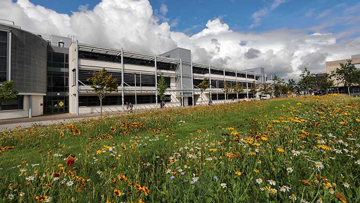 Uni_Galwaypress's tweet photo. University of Galway praised for boosting Galway grade for cleanliness https://t.co/uA28yCyUrF https://t.co/JaHcvErhAs
