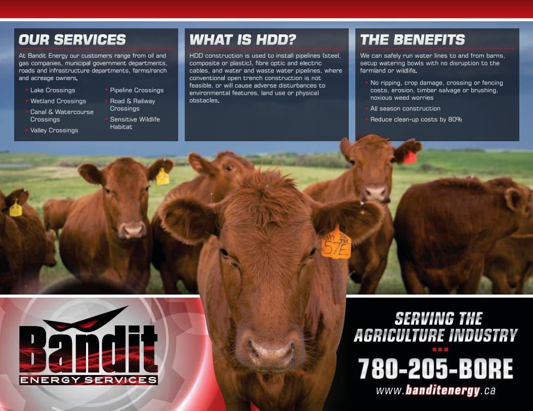 Bandit Energy Services tweet media
