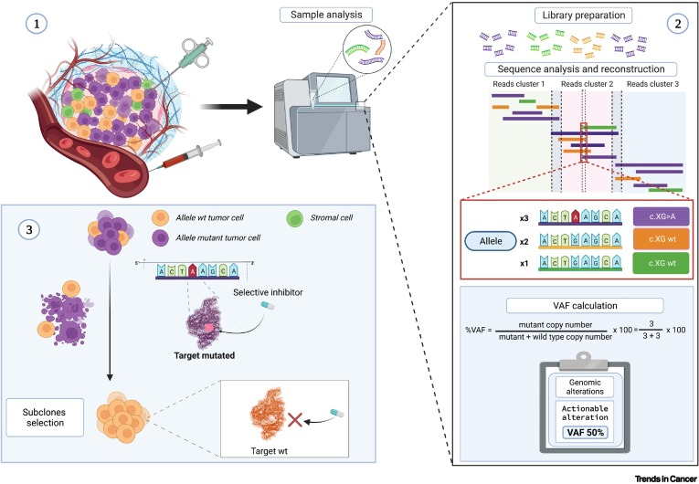 VivekSubbiah's tweet photo. 🚨Hot off the press👉Super thrilled to share our paper 👉Variant of allele frequency: a decision-making tool in precision oncology? published in @CellCellPress journal @trendscancer ! 
👉An absolute delight to collaborate with the amazing @curijoey & his terrific team @darioT_ @CriminiMd among many others @oncoalert @PTarantinoMD #PrecisionMedicine 🎯🧬 @SarahCannonDocs 
✅A great pre-read before #ESMO23 and #MAP23 meetings
https://t.co/GIZZ5vHNaV