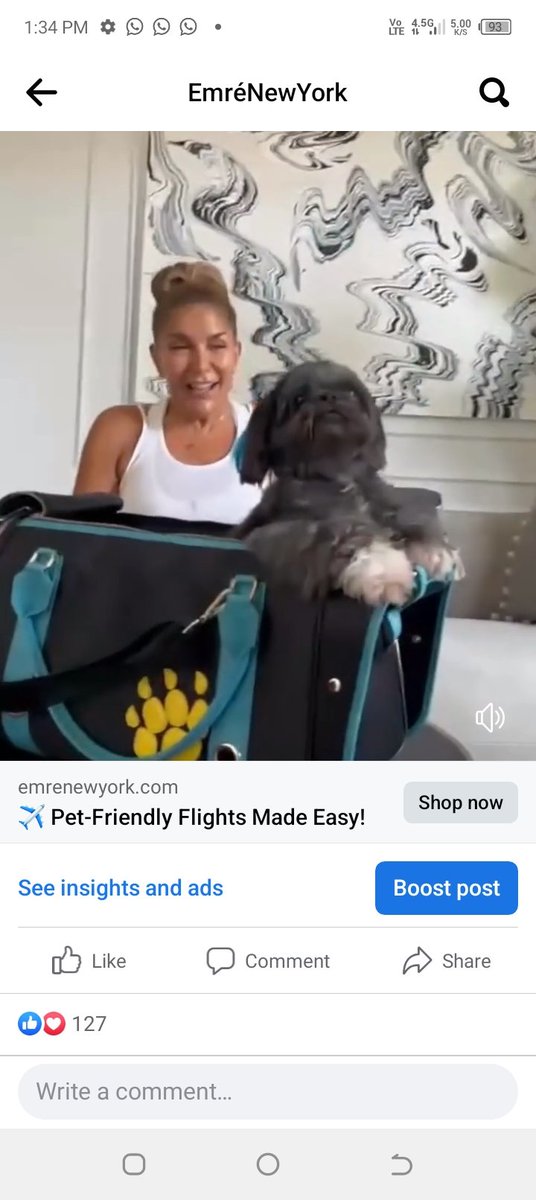 TheErturkEmre's tweet image. EmreNewYork global customers loving it.
@EMRENY 
#emreerturk 
#emrenewyork
#emrenewyorkpetcarrier
#emrenewyorkhandbag
#designerhandbag
#celebritydesigner