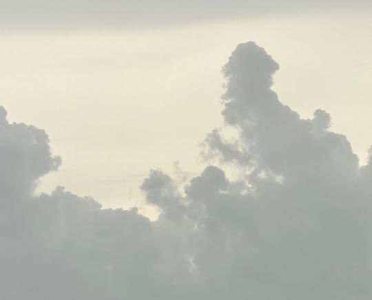 cloudywithfaces's tweet image. Mom and kids.