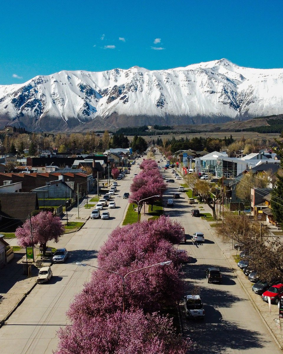 TurismoEsquel's tweet photo. LA PRIMAVERA YA ESTÁ LLEGANDO
Los ciruelos de jardín de la Av. Ameghino ya están próximos a florecer.

Junto a la floración llega la "Fiesta de Los Ciruelos en flor 2023"

🌸 23 de septiembre 
🌸 Artesanos
🌸 Manualeros
🌸 Productores
🌸 Food Truck 
🌸 Música

#ExperienciaEsquel https://t.co/QYZ9I5pGQM