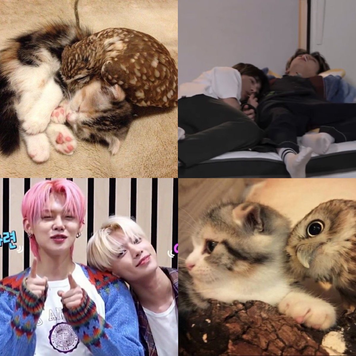 happy birthday to the warmest person in the world, happy birthday jjunie 
🧚‍♀️✨💖

#OnceInAMillenniumYeonjun
HAPPY YEONJUN DAY
#가을의_입맞춤_속_태어난_연준이
#圧倒的カリスマYEONJUN誕生祭
<a href="/TXT_members/">TOMORROW X TOGETHER</a> <a href="/TXT_bighit/">TXT OFFICIAL</a>