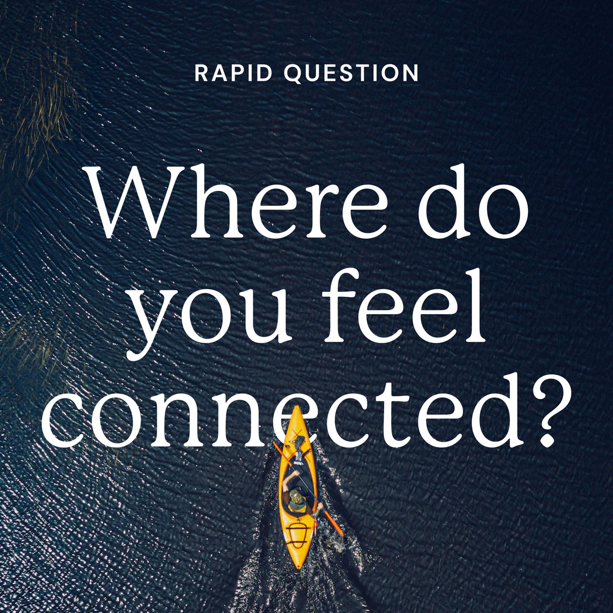 rapid5org's tweet photo. Amidst the towering trees and the serenity of open spaces, our sense of connection thrives. Wherever your outdoor sanctuary lies, let's celebrate that bond which nature ignites within us. 🌲️ #NatureConnection https://t.co/EhphzRHWWq