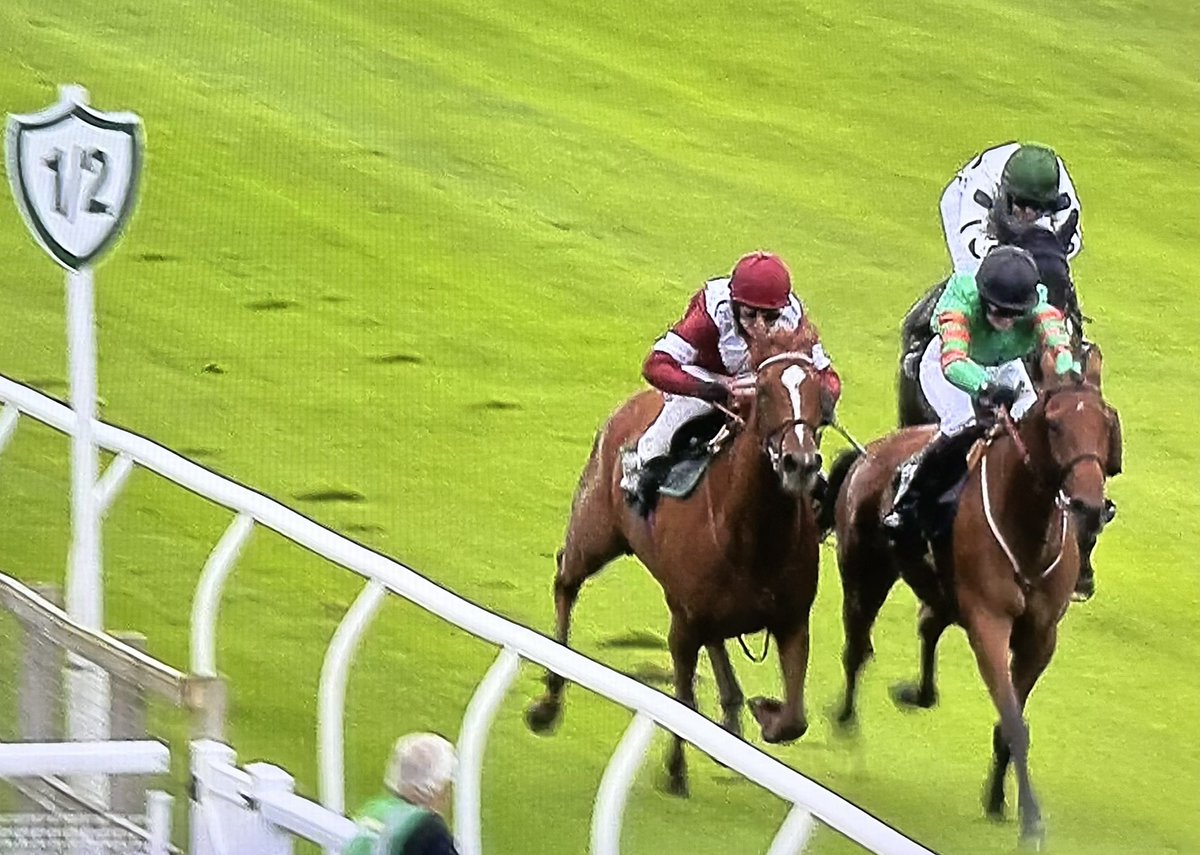 amajox's tweet photo. Congratulations @amajox @EmilyEasterby WINS #Sameem @CatterickRaces for @EasterbyTim denying #champ @BrodieHampson1 #LetHerLoose rallying in dual to the line #neck #greatpartnership #5ran #topride #topjock #EmilyRoberts first winning ride in married name!👰‍♂️ 🤩 Well done Emily! https://t.co/2aW6csQLPn