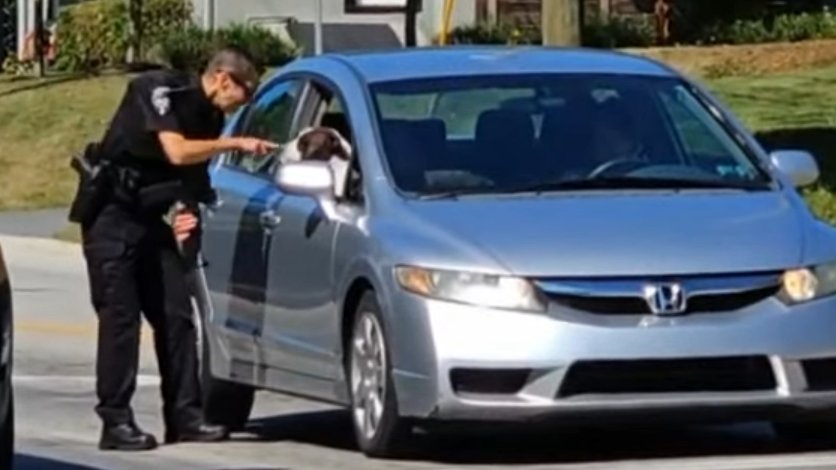 One of the officers at a checkpoint in the #DaneloCavalcante manhunt took a moment to boop a snoot. ♥️