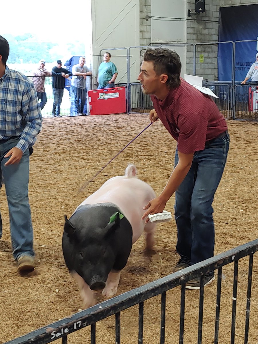 Carey_FFA's tweet photo. https://t.co/L7KUucZLoo