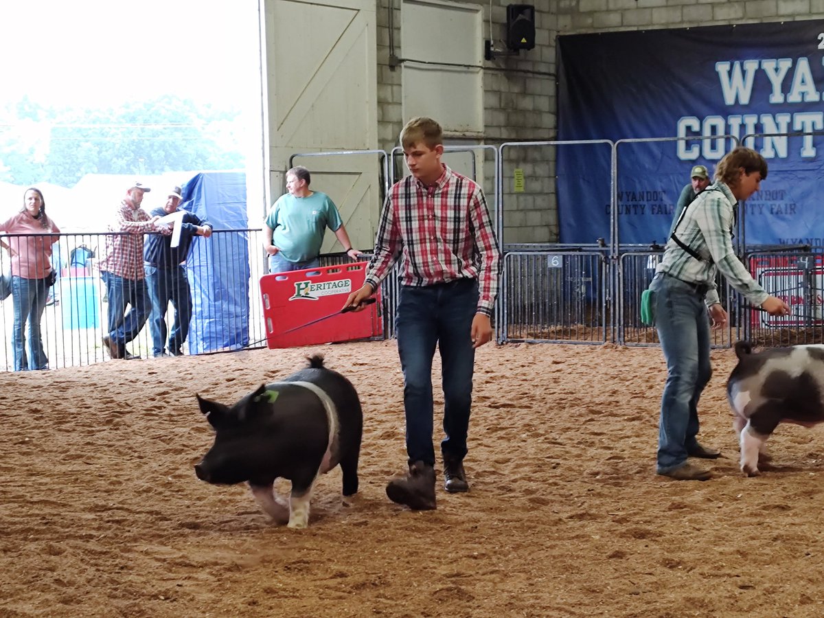 Carey_FFA's tweet photo. https://t.co/L7KUucZLoo