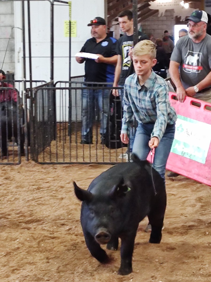 Carey_FFA's tweet photo. https://t.co/L7KUucZLoo