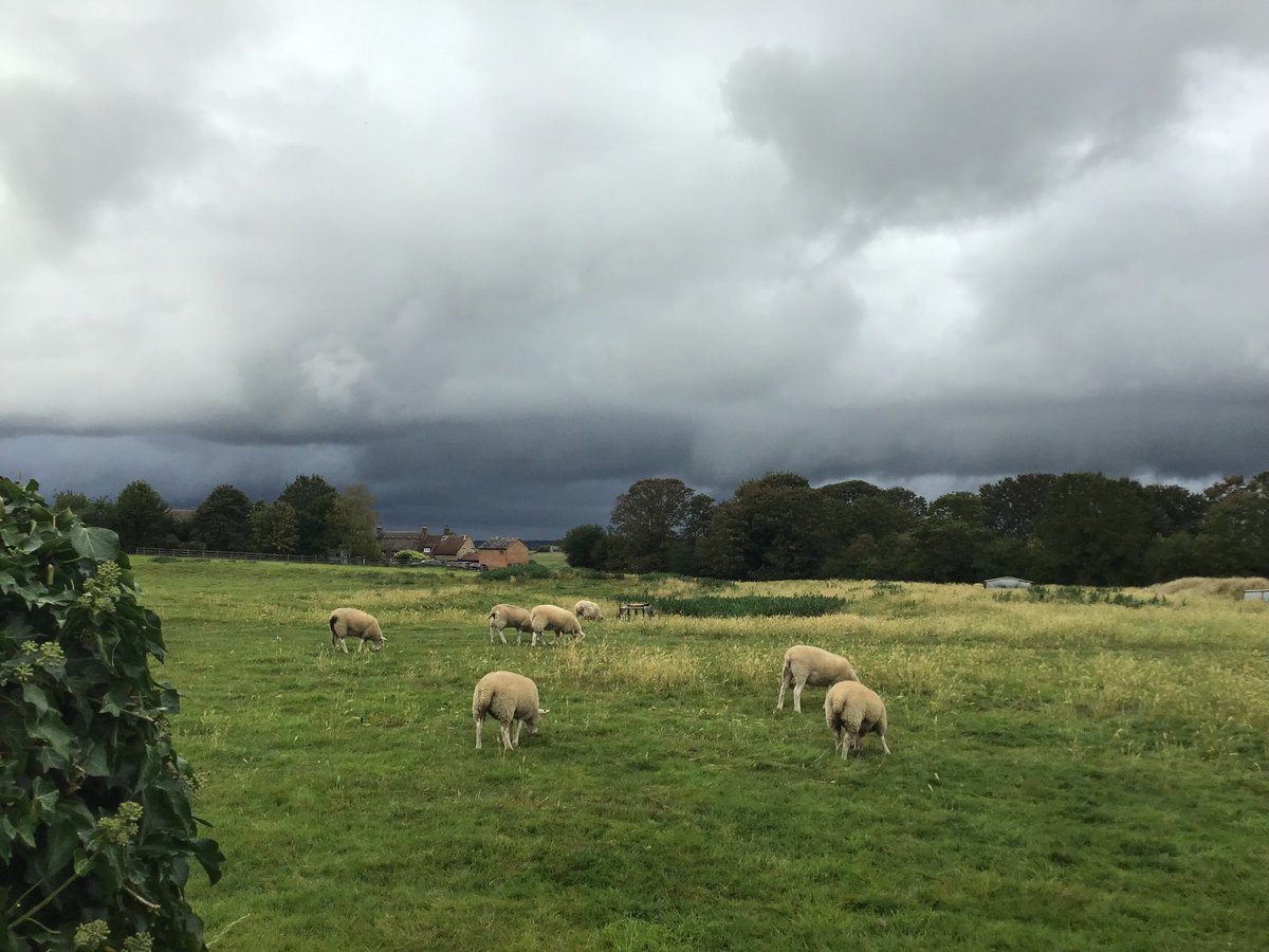 It’s looking grim oop north! #GraftonRegis #Northamptonshire @NNweather @NNskies @NorthamptonUK