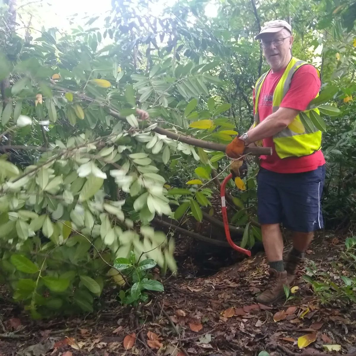 Sustainable Life tweet media