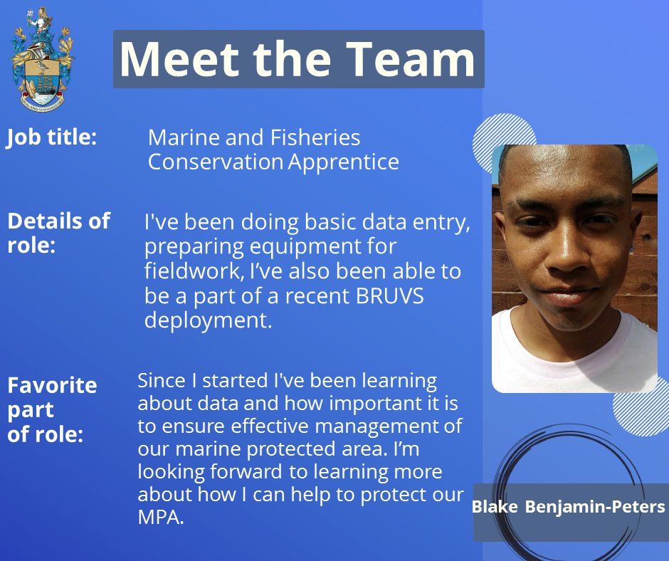 With the support of the @Bluebeltprogramme, this year we were able to offer two apprenticeships. We’ve already introduced one of our Apprentices, Jolan Henry, in this edition meet Blake! 👇
 #smallislandBIGFUTURE #sthelenampa #sayhello #newrecuits 
👋