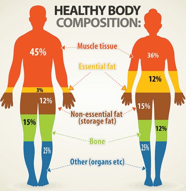 EduLeaderOne's tweet photo. Did you know that the normal human body contains enough fat to make 7 bars of soap? 🧼
#HumanFacts #SoapOpera #FunFact #DidYouKnow #Trivia https://t.co/c8ayBmIqRE
