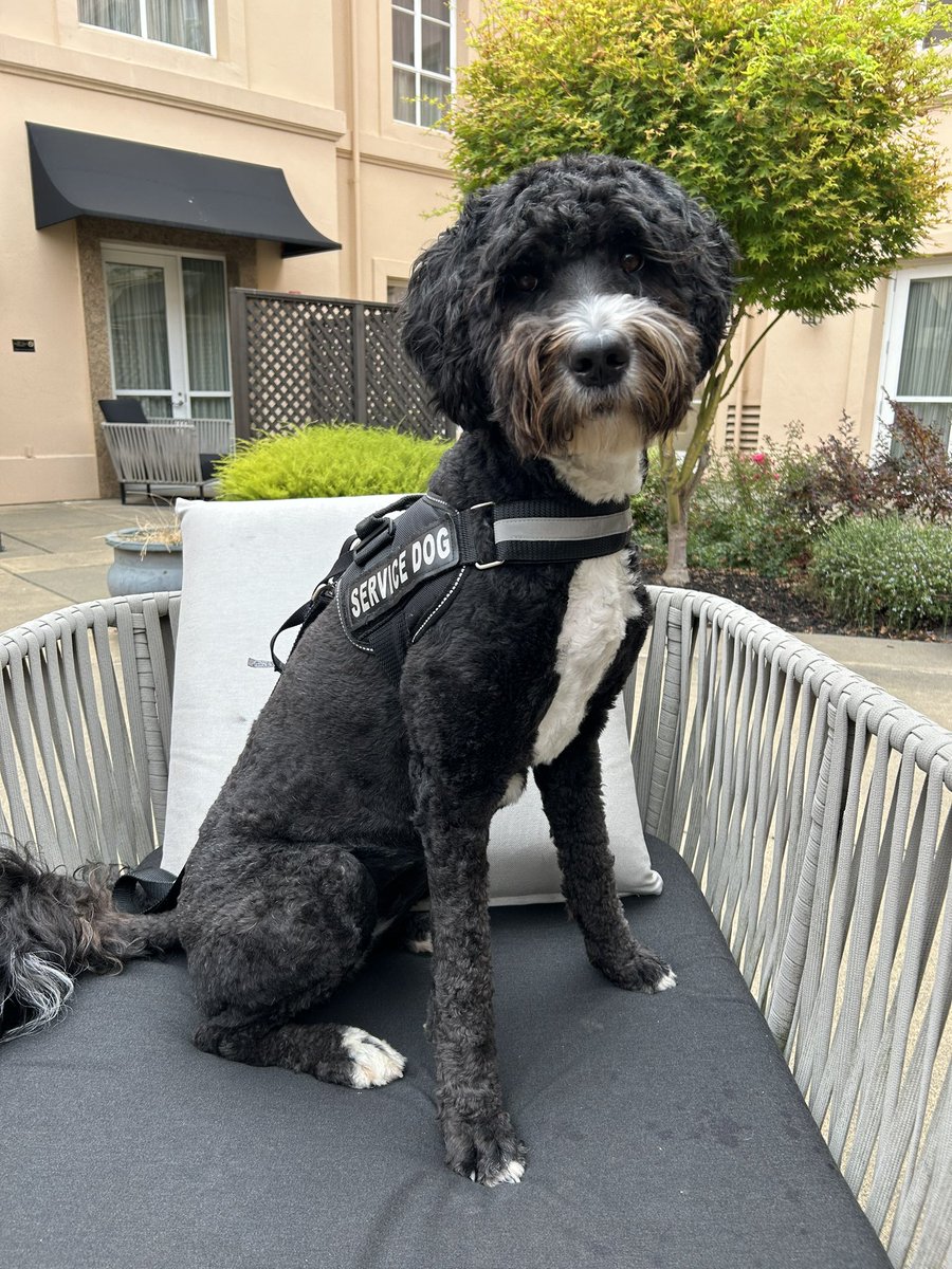 ShanaAdise's tweet image. Thank you @FluxSociety for a wonderful meeting. We had the best time learning about new developments in the field and meeting other scientists. Kaiya’s favorite part was all the free pets and hugs. This duo will be back! #flux2023