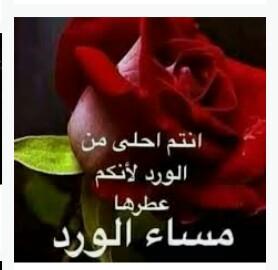 مخضرم نج__________د (@zxcv123r5) on Twitter photo 