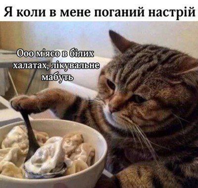 Гешототамгиня tweet media