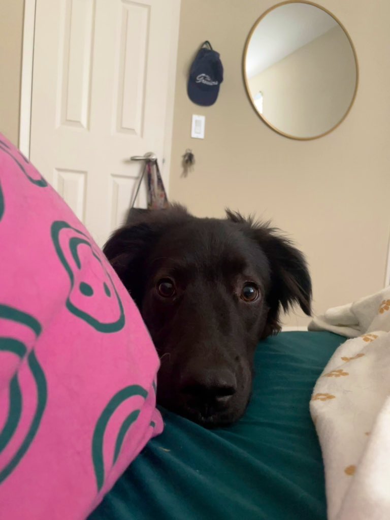 how i wake up every morning