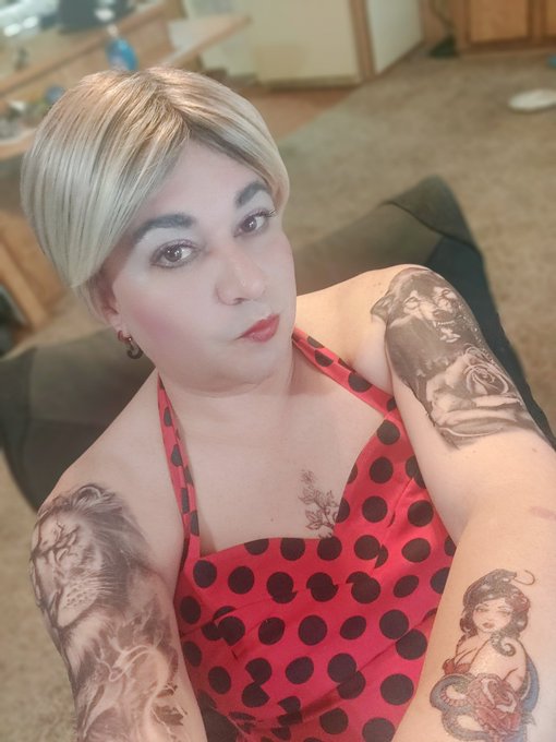 TemplateD’s pics and videos