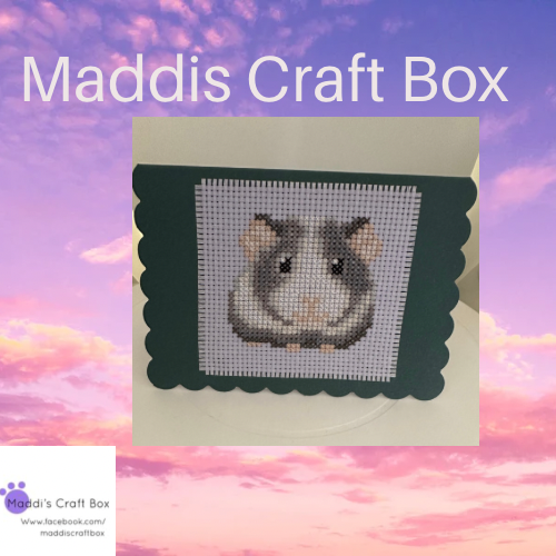 Good morning. Today’s restock item is guinea pig cross stitch card.
maddiscraftbox.etsy.com

#MHHSBD #etsyme #craftbizparty #earlybiz #christmas2023
💜