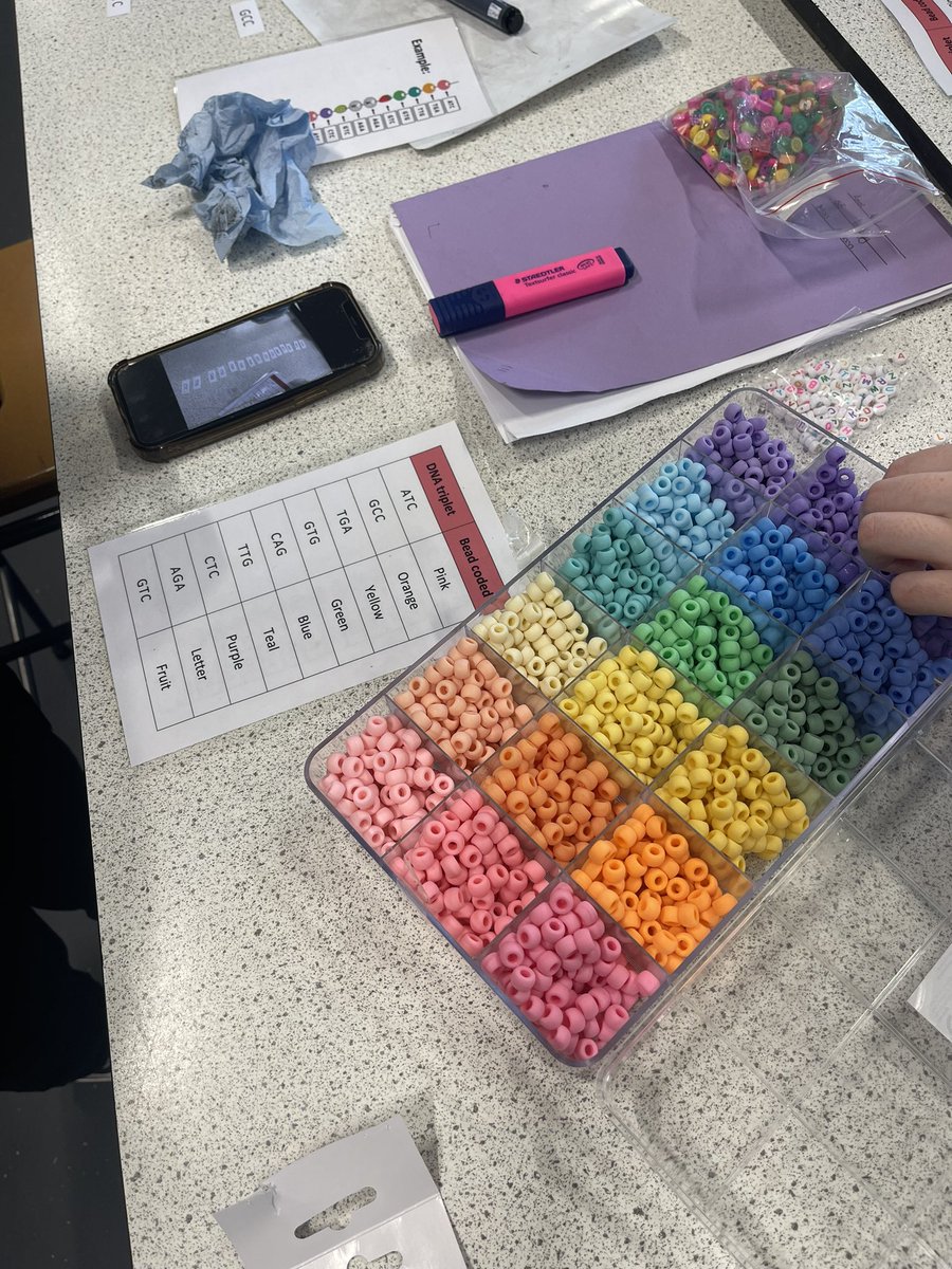 missandersonbio's tweet photo. π§Ώ Amino Acid Chains π§Ώ
Senior N5 Bio spent the first half of our double period collecting random DNA triplets and then determining which amino acid βbeadβ it would code for. Such a fun way to model the production of a polypeptide chain πΏ
@StAndrewsSci #Nat5Bio #DNA #Proteins https://t.co/jrPKMzsxEX