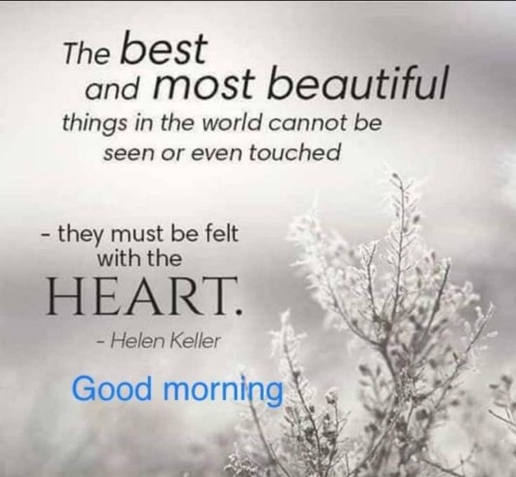 Hanna Eide tweet media