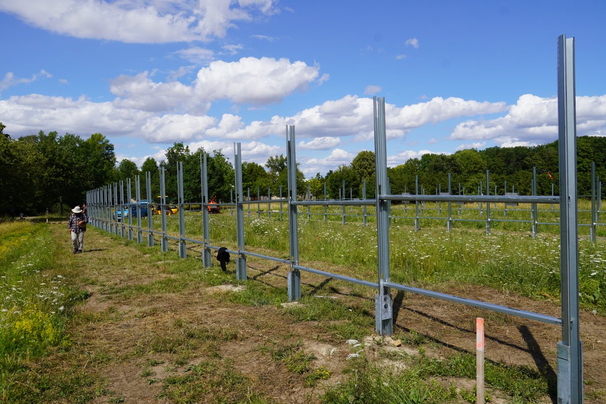 AgriPVplus's tweet photo. Check out the progress of our demonstration site testing the triple-use approach AgriPVplus @hsanhalt. #Photovoltaics combined with the cultivation of drought-resistant crops in the module gaps &amp; wildflower strips along the modules.  #Solar #Biodiversity #agriculture https://t.co/rtziX41DE2