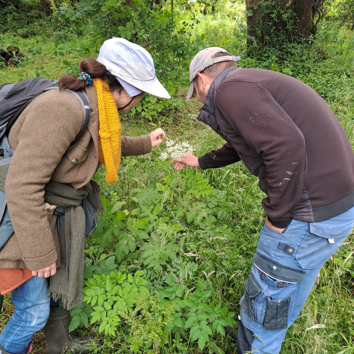 noonan_malcolm's tweet photo. 📢 Do you know a community group that wants to take action for #nature?

@CommunityFound's #BiodiversityFund is open for applications! Apply now for grant funding to work with an ecologist to develop &amp; implement a Community Biodiversity Action Plan 🌺🌍🐌

https://t.co/09xiovWa1G https://t.co/b3vDCQqmyo