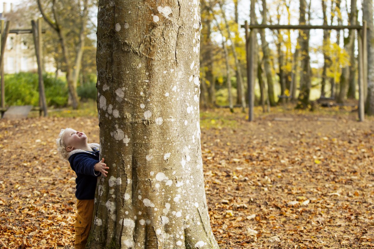 Forest School Workshops come to Tyntesfield! 🍂

Join us for a 2-hour long preschool session of outdoors exploration &amp; activities for 2 -5 year olds, with plenty of games, songs &amp; natural craft.

bit.ly/44Dmk7z
📸 National Trust Images/Chris Lacey
#ForestSchools #Autumn