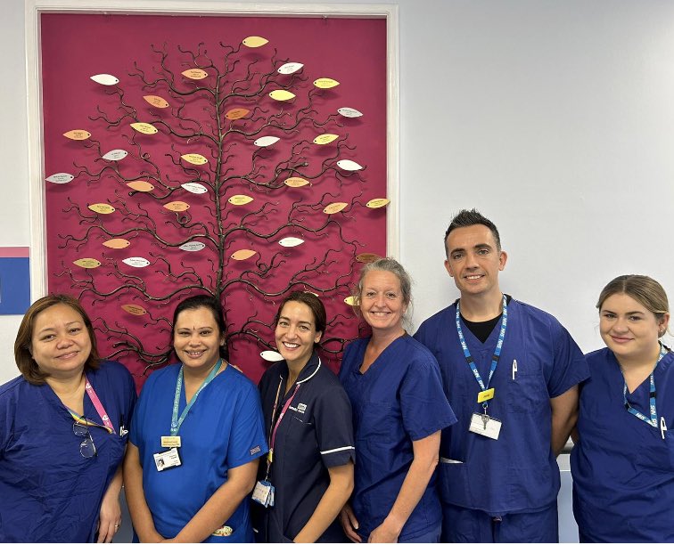 It’s #OrganDonationWeek next week. Southend ICU stand in honour of their generous donors- a tree with their names stands proudly at the entrance of the Critical Care Unit in Southend Hospital #OrganDonationWeek. #SouthendHospital