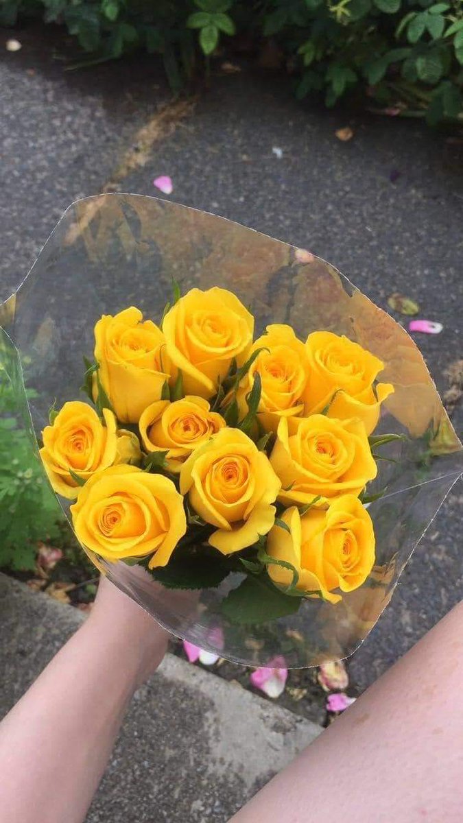 manifestando mis flores amarillas.