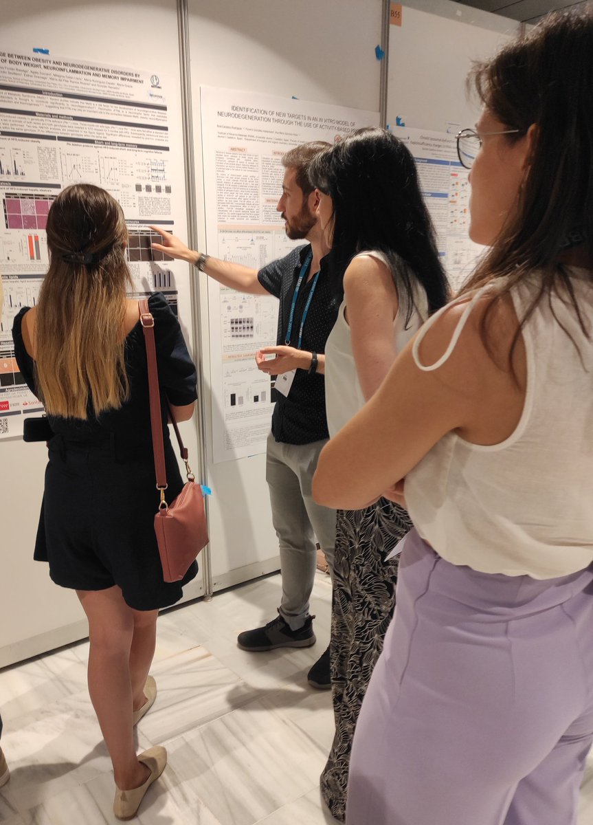 @Hector_Canneque shows his work titled: '#Pleiotrophin: A bridge between obesity and neurodegenerative disorders by promoting increase of body weight, neuroinflammation and memory impairment' at #IBRO2023.
@gestobes @USPCEU @USPCEUprensa @IBROorg @SENC_