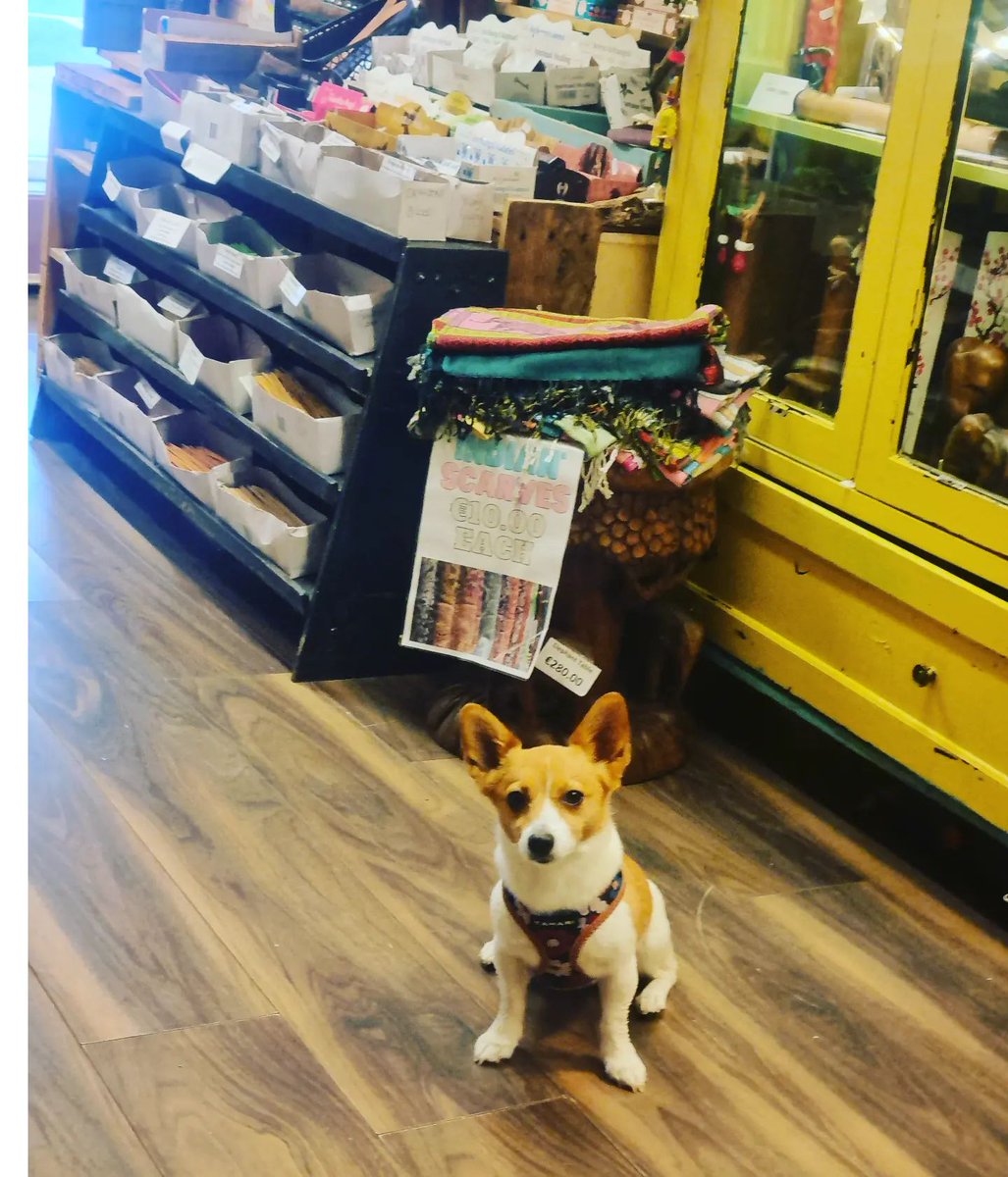 PureandSimple2's tweet image. We serve all Customers! Thanks LuLu  for popping in 😍

#crystalstore #newagegifts #crystalhealing #dogsoftwitter