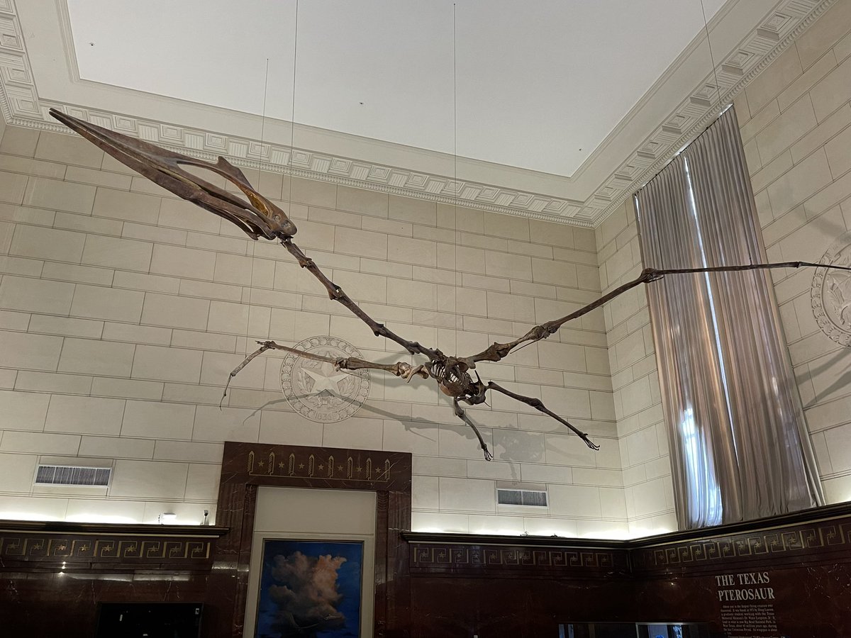 John-Carlos Estrada 🎙️ tweet media