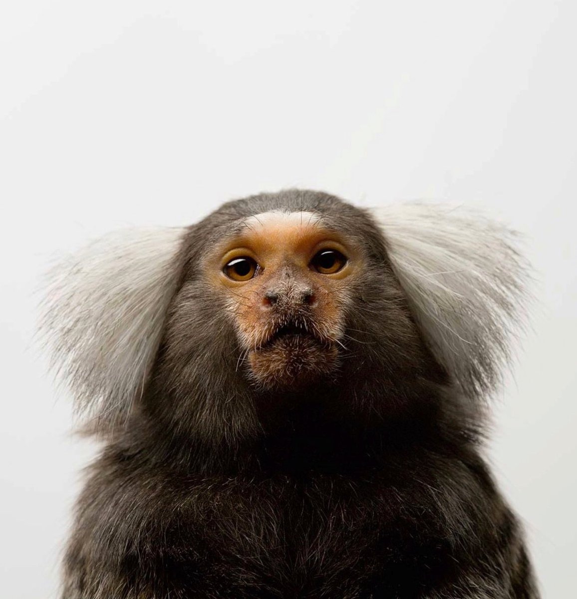 Changemaker Talent tweet media