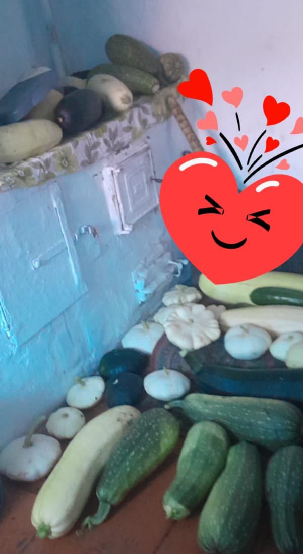 Netaletta's tweet image. Вам кабачков не надо?