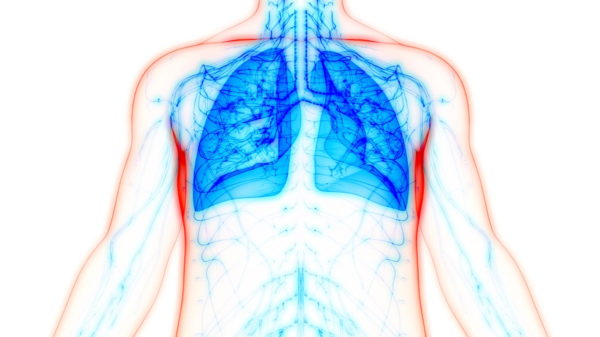 Lung Cell Therapy Shows Promise for Treating COPD

A cell therapy made from a patient's lung cells could help repair lung damage in chronic obstructive pulmonary disease patients. The study was presented at <a href="/EuroRespSoc/">ERS</a> International Congress. Learn more: ow.ly/2Kvv50PKF8w