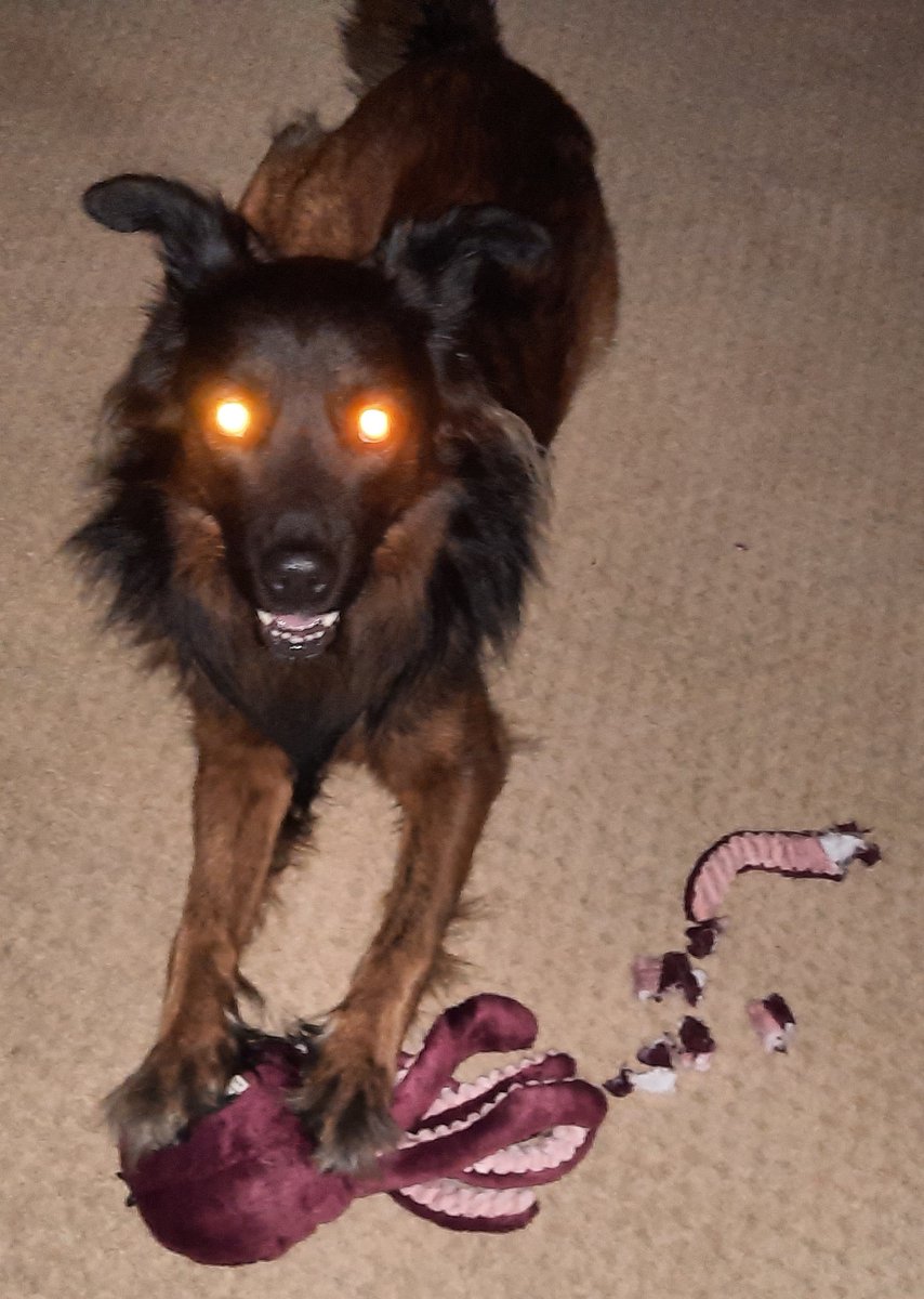 Syzygy Tony tweet media