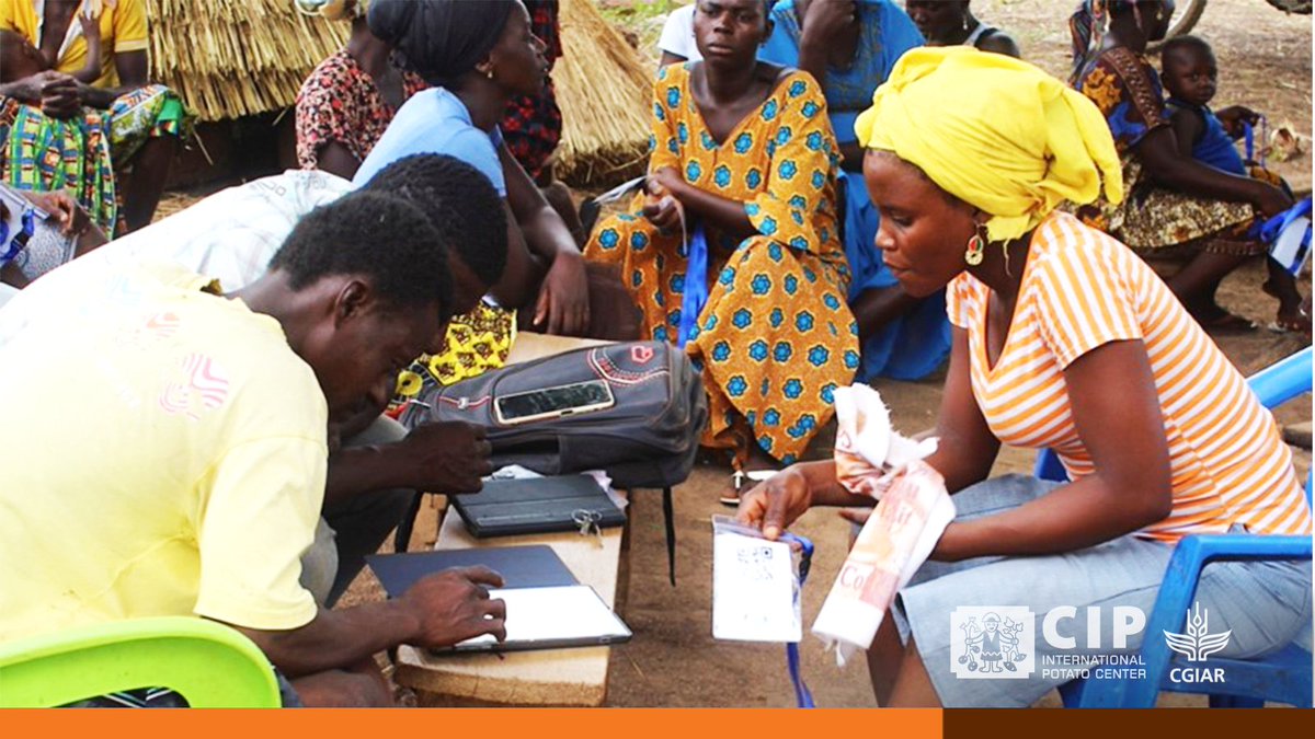 Cipotato's tweet image. Empowering communities with digital tools!
Discover how the GROWING Project in Ghana is leveraging digital data collection to enhance agricultural 🌱 extension, nutrition, and gender transformative initiatives.
👉🏽 bit.ly/DigitalizingGe…
🔸 @GAC_Corporate
🔸 @CAREGlobal
