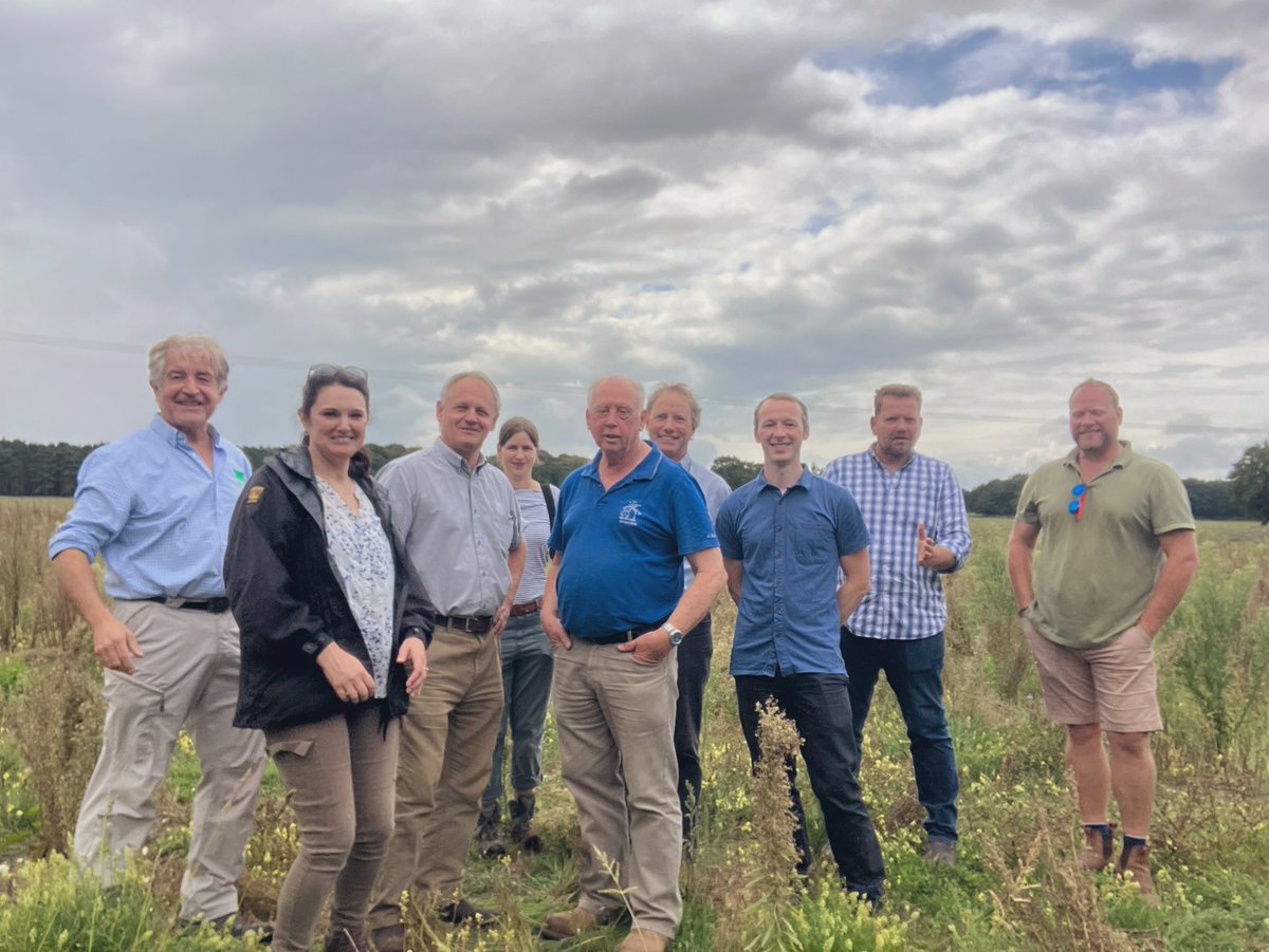 TonyJuniper's tweet photo. Tiny plants (Annual Knawel), vast skies &amp; inspiring doers making a difference for Nature at scale in one of England’s most distinctive landscapes. Great to meet visionary farmers from @BrecksFarmersWN to discuss future ambition &amp; opportunities coming with Landscape Recovery pilot https://t.co/Xvs7olksE7