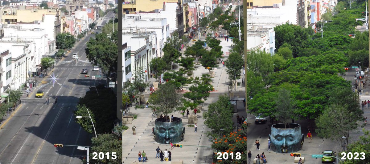 sainzcaccia's tweet image. Cambios que inspiran. 
Guadalajara cambió 6 carriles de contaminación por un paseo arbolado y una línea de tren ligero subterránea.