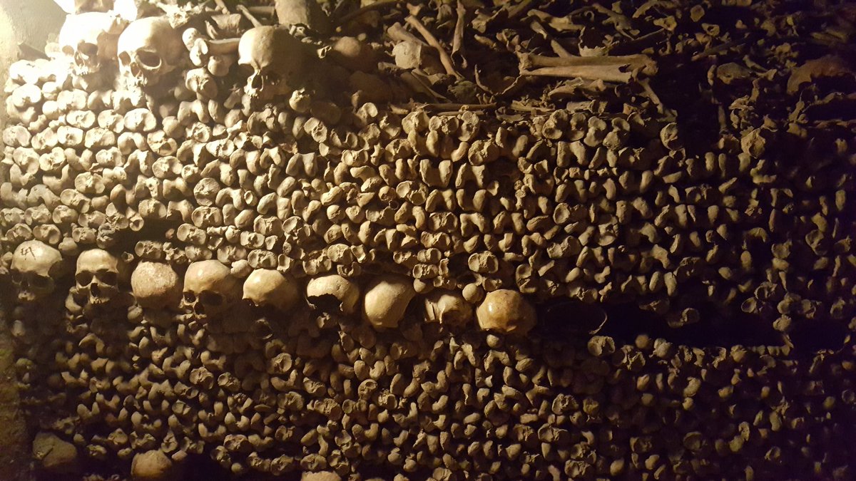 07_flawsome's tweet photo. Tweet a random picture from your phone
What lies beneath the city of Paris..
#CatacombsOfParis https://t.co/VL6Y4gZBS8