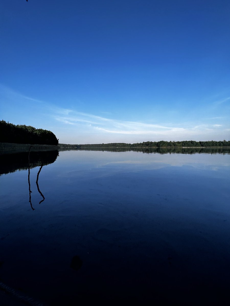 m_m_miel's tweet image. Cisza… 🫀