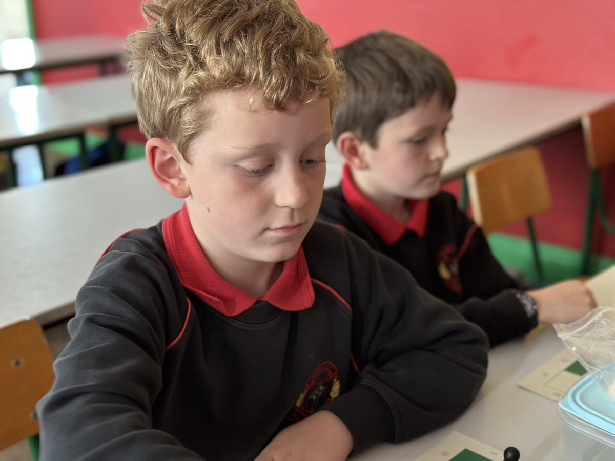 Scoil Ailbhe - An Edmund Rice School tweet media