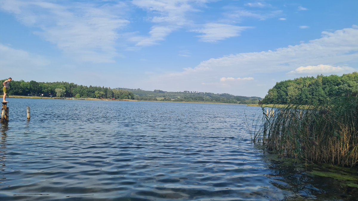 Kacper Nosarzewski tweet media