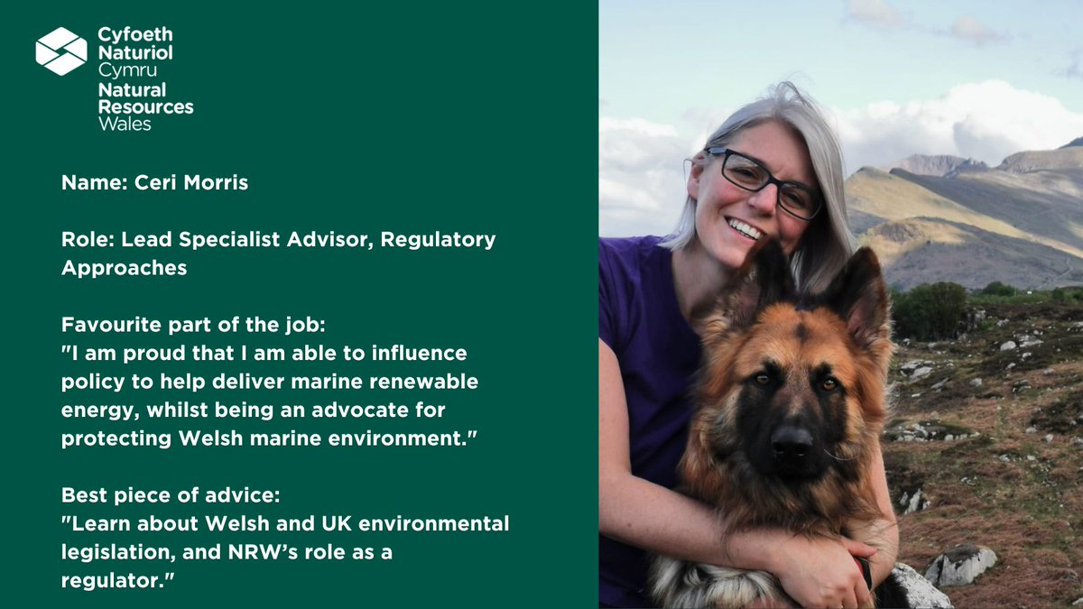 Calling ambitious and passionate marine experts. Come and join our Marine Advisory and Regulatory Services and help create a more sustainable future for Wales! #marine #offshore #renewables #renewableenergy #sustainable #greenenergy #marineconservation #climatechange