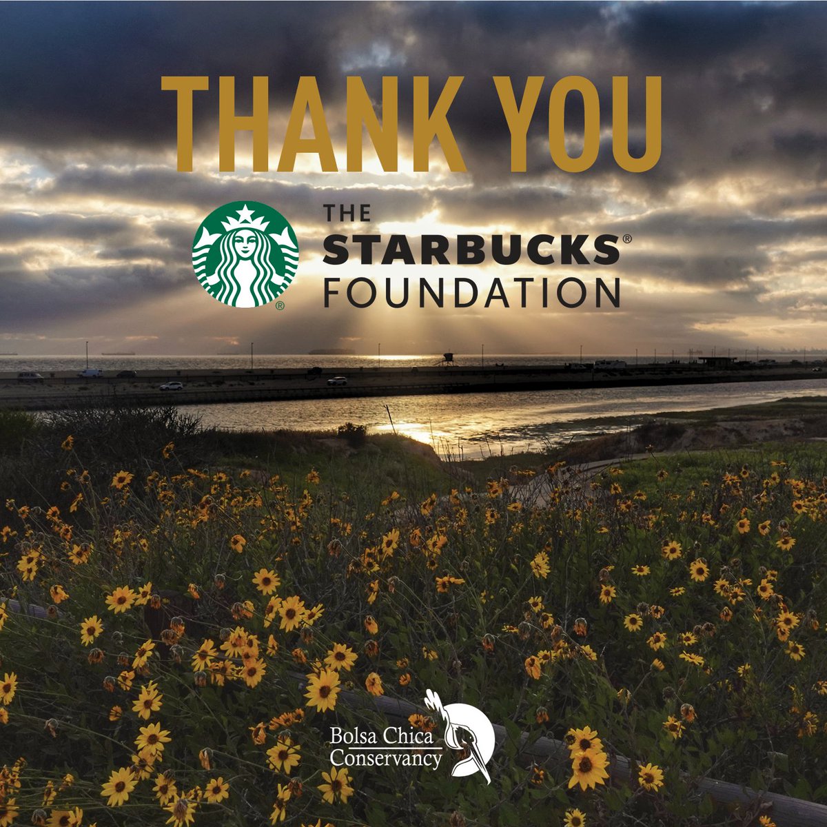 Thank you to our local Starbucks partners for your Neighborhood Grant nomination. 💚 With help from The @Starbucks Foundation, we're supporting programs focused on restoring Bolsa Chica and educating and inspiring the next generation of environmental stewards.