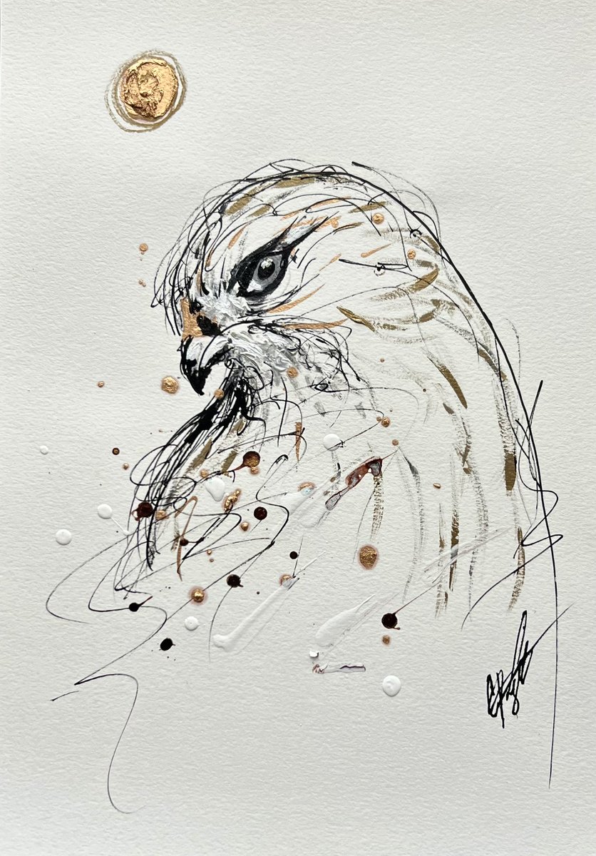 A Hawk with eagle eyes 
Legette.blogspot.com 
#Hawk #drawing #buckheadAtl #atl #bird